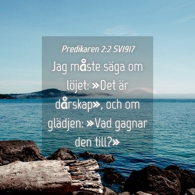 Picture 04 - Predikaren 2:2 SV1917 - Jag måste säga om löjet: »Det är dårskap», - Bible Verse Picture