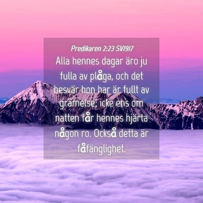 Picture 04 - Predikaren 2:23 SV1917 - Alla hennes dagar äro ju fulla av plåga, och - Bible Verse Picture