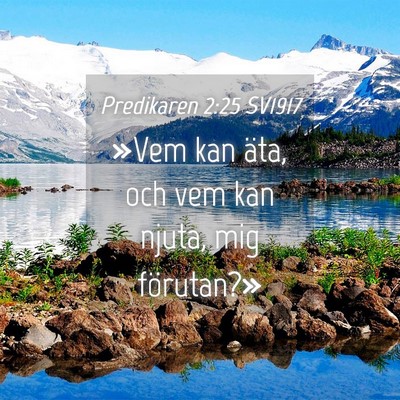 Picture 04 - Predikaren 2:25 SV1917 - »Vem kan äta, och vem kan njuta, mig - Bible Verse Picture