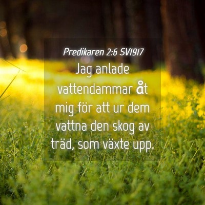 Picture 04 - Predikaren 2:6 SV1917 - Jag anlade vattendammar åt mig för att ur dem - Bible Verse Picture