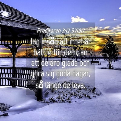 Picture 04 - Predikaren 3:12 SV1917 - Jag insåg att intet är bättre för dem, än - Bible Verse Picture