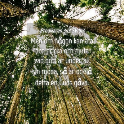 Picture 04 - Predikaren 3:13 SV1917 - Men om någon kan äta och dricka och njuta vad - Bible Verse Picture