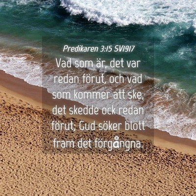 Picture 04 - Predikaren 3:15 SV1917 - Vad som är, det var redan förut, och vad som - Bible Verse Picture