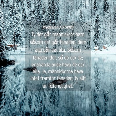 Picture 04 - Predikaren 3:19 SV1917 - Ty det går människors barn såsom det går - Bible Verse Picture