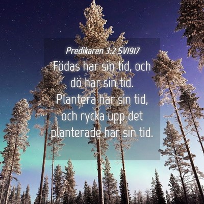 Picture 04 - Predikaren 3:2 SV1917 - Födas har sin tid, och dö har sin tid. Plantera - Bible Verse Picture
