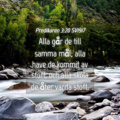 Picture 04 - Predikaren 3:20 SV1917 - Alla går de till samma mål; alla have de kommit - Bible Verse Picture