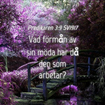 Picture 04 - Predikaren 3:9 SV1917 - Vad förmån av sin möda har då den som - Bible Verse Picture