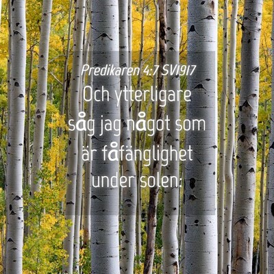 Picture 04 - Predikaren 4:7 SV1917 - Och ytterligare såg jag något som är - Bible Verse Picture
