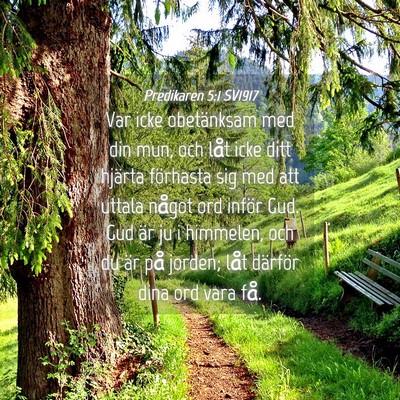 Picture 04 - Predikaren 5:1 SV1917 - Var icke obetänksam med din mun, och låt icke - Bible Verse Picture