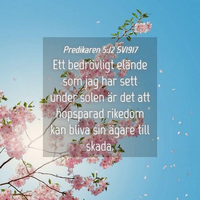 Picture 04 - Predikaren 5:12 SV1917 - Ett bedrövligt elände som jag har sett under - Bible Verse Picture