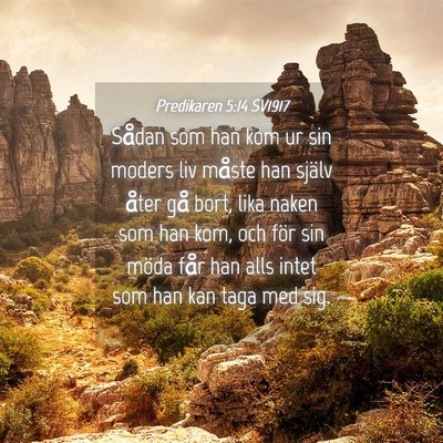 Picture 04 - Predikaren 5:14 SV1917 - Sådan som han kom ur sin moders liv måste han - Bible Verse Picture