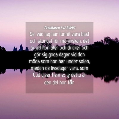 Picture 04 - Predikaren 5:17 SV1917 - Se, vad jag har funnit vara bäst och skönast - Bible Verse Picture
