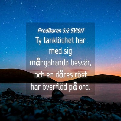 Picture 04 - Predikaren 5:2 SV1917 - Ty tanklöshet har med sig mångahanda besvär, - Bible Verse Picture