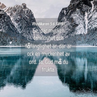 Picture 04 - Predikaren 5:6 SV1917 - Se, där mycken tanklöshet och fåfänglighet - Bible Verse Picture