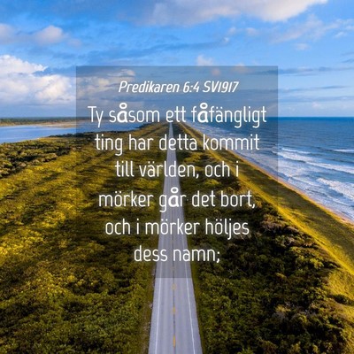 Picture 04 - Predikaren 6:4 SV1917 - Ty såsom ett fåfängligt ting har detta kommit - Bible Verse Picture