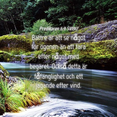 Picture 04 - Predikaren 6:9 SV1917 - Bättre är att se något för ögonen än att - Bible Verse Picture