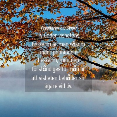 Picture 04 - Predikaren 7:13 SV1917 - Ty under vishetens beskärm är man såsom under - Bible Verse Picture