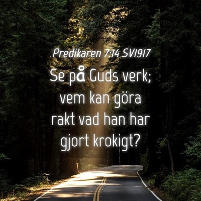 Picture 04 - Predikaren 7:14 SV1917 - Se på Guds verk; vem kan göra rakt vad han har - Bible Verse Picture