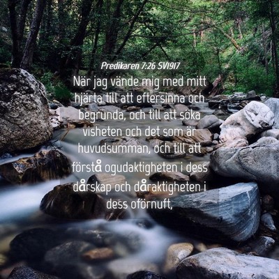 Picture 04 - Predikaren 7:26 SV1917 - När jag vände mig med mitt hjärta till att - Bible Verse Picture