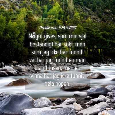 Picture 04 - Predikaren 7:29 SV1917 - Något gives, som min själ beständigt har - Bible Verse Picture