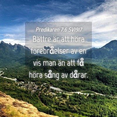 Picture 04 - Predikaren 7:6 SV1917 - Bättre är att höra förebråelser av en vis - Bible Verse Picture