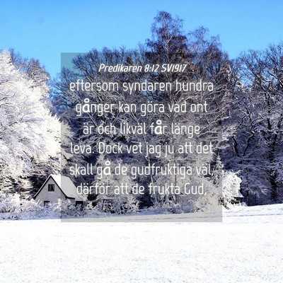 Picture 04 - Predikaren 8:12 SV1917 - eftersom syndaren hundra gånger kan göra vad - Bible Verse Picture