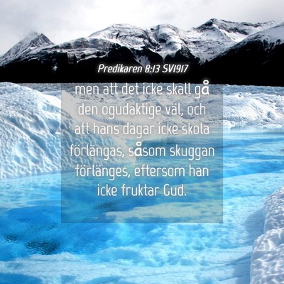 Picture 04 - Predikaren 8:13 SV1917 - men att det icke skall gå den ogudaktige väl, - Bible Verse Picture