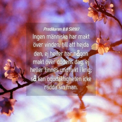 Picture 04 - Predikaren 8:8 SV1917 - Ingen människa har makt över vinden, till att - Bible Verse Picture