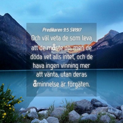 Picture 04 - Predikaren 9:5 SV1917 - Och väl veta de som leva att de måste dö, men - Bible Verse Picture
