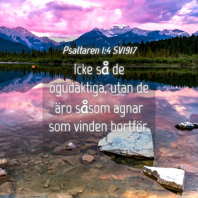 Picture 04 - Psaltaren 1:4 SV1917 - Icke så de ogudaktiga, utan de äro såsom agnar - Bible Verse Picture