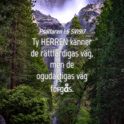 Picture 04 - Psaltaren 1:6 SV1917 - Ty HERREN känner de rättfärdigas väg, men de - Bible Verse Picture