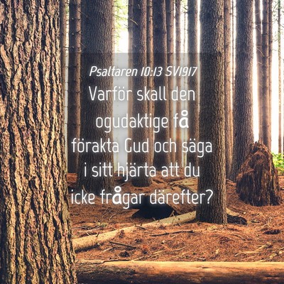 Picture 04 - Psaltaren 10:13 SV1917 - Varför skall den ogudaktige få förakta Gud och - Bible Verse Picture