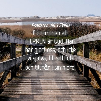 Picture 04 - Psaltaren 100:3 SV1917 - Förnimmen att HERREN är Gud. Han har gjort oss, - Bible Verse Picture