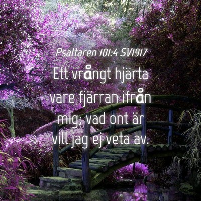 Picture 04 - Psaltaren 101:4 SV1917 - Ett vrångt hjärta vare fjärran ifrån mig; vad - Bible Verse Picture