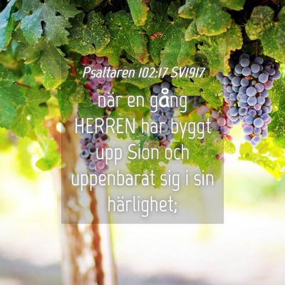 Picture 04 - Psaltaren 102:17 SV1917 - när en gång HERREN har byggt upp Sion och - Bible Verse Picture