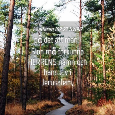 Picture 04 - Psaltaren 102:22 SV1917 - på det att man i Sion må förkunna HERRENS namn - Bible Verse Picture