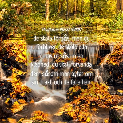 Picture 04 - Psaltaren 102:27 SV1917 - de skola förgås, men du förbliver, de skola - Bible Verse Picture