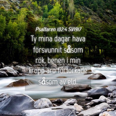 Picture 04 - Psaltaren 102:4 SV1917 - Ty mina dagar hava försvunnit såsom rök, benen - Bible Verse Picture