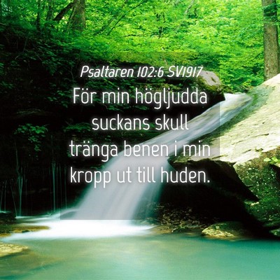 Picture 04 - Psaltaren 102:6 SV1917 - För min högljudda suckans skull tränga benen i - Bible Verse Picture