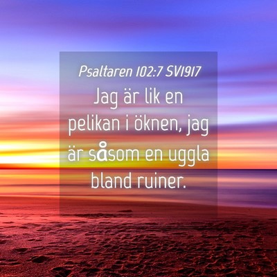 Picture 04 - Psaltaren 102:7 SV1917 - Jag är lik en pelikan i öknen, jag är såsom - Bible Verse Picture