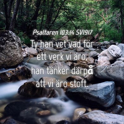 Picture 04 - Psaltaren 103:14 SV1917 - Ty han vet vad för ett verk vi äro, han tänker - Bible Verse Picture