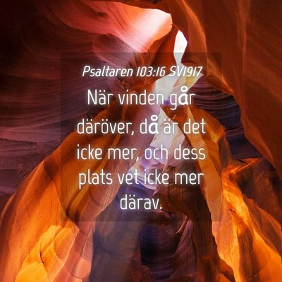 Picture 04 - Psaltaren 103:16 SV1917 - När vinden går däröver, då är det icke mer, - Bible Verse Picture