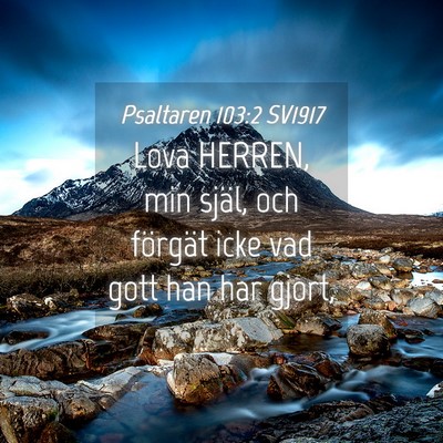 Picture 04 - Psaltaren 103:2 SV1917 - Lova HERREN, min själ, och förgät icke vad - Bible Verse Picture