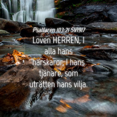 Picture 04 - Psaltaren 103:21 SV1917 - Loven HERREN, I alla hans härskaror, I hans - Bible Verse Picture
