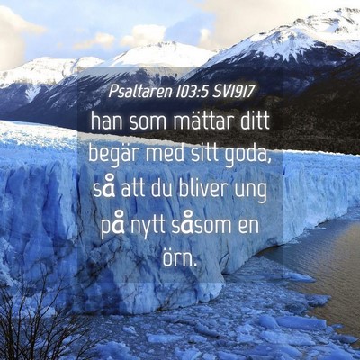 Picture 04 - Psaltaren 103:5 SV1917 - han som mättar ditt begär med sitt goda, så - Bible Verse Picture