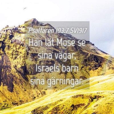 Picture 04 - Psaltaren 103:7 SV1917 - Han lät Mose se sina vägar, Israels barn sina - Bible Verse Picture