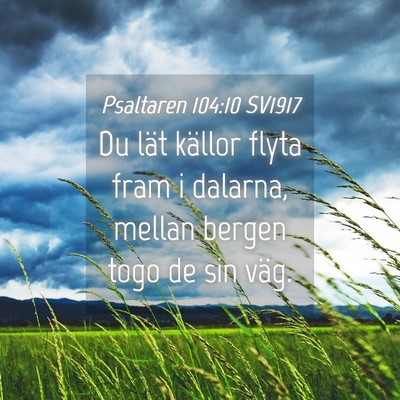 Picture 04 - Psaltaren 104:10 SV1917 - Du lät källor flyta fram i dalarna, mellan - Bible Verse Picture