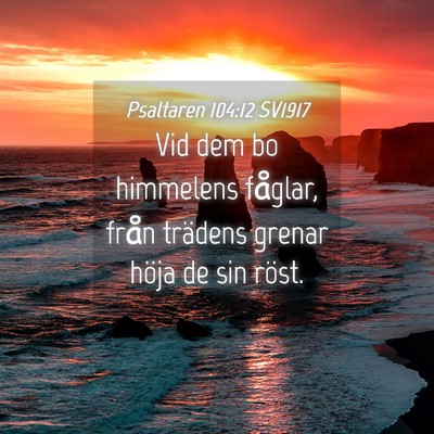 Picture 04 - Psaltaren 104:12 SV1917 - Vid dem bo himmelens fåglar, från trädens - Bible Verse Picture