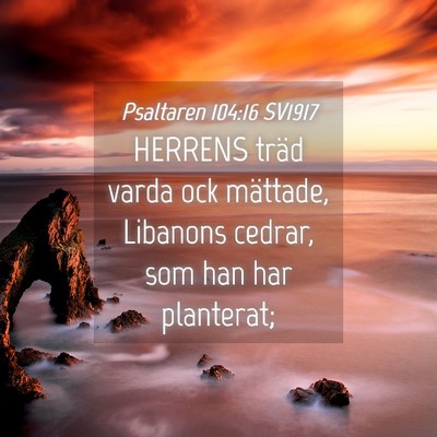 Picture 04 - Psaltaren 104:16 SV1917 - HERRENS träd varda ock mättade, Libanons - Bible Verse Picture