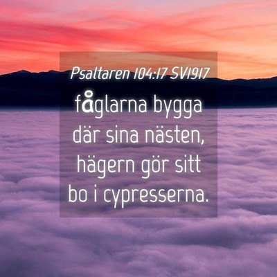 Picture 04 - Psaltaren 104:17 SV1917 - fåglarna bygga där sina nästen, hägern gör - Bible Verse Picture